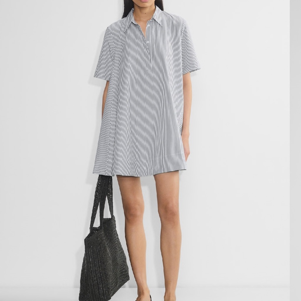 Aritzia Blue Striped Dress